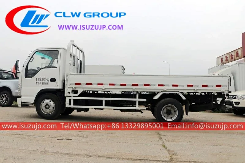 ISUZU NHR 3 Ton Cargo Trucks for Sale Philippines view 2
