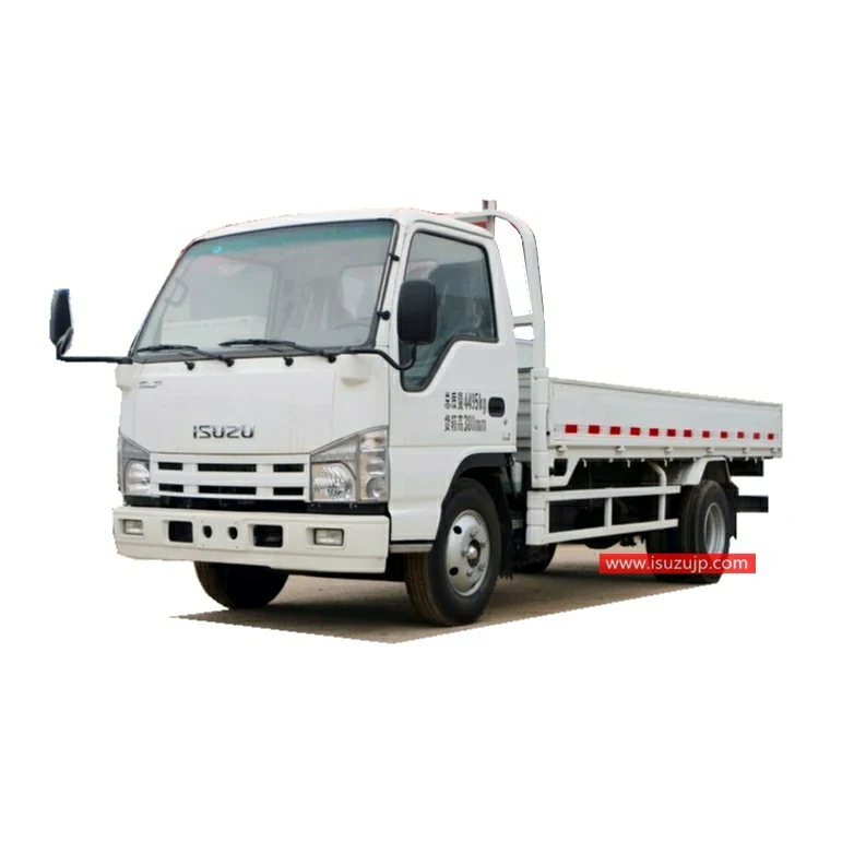 ISUZU NHR 3 Ton Cargo Trucks for Sale Philippines view 5