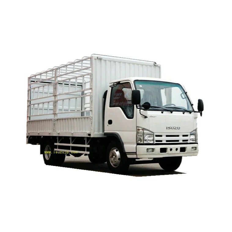 ISUZU NJR 12ft Stake Body Truck view 5