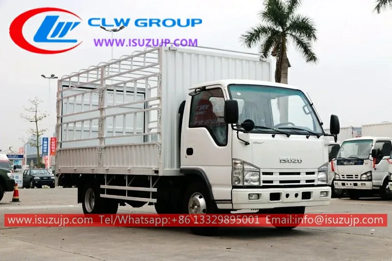 ISUZU NJR 12ft Stake Body Truck view 3
