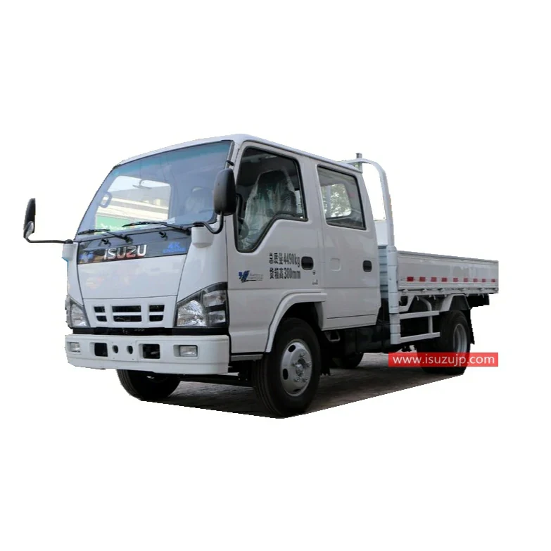 ISUZU NKR 5 Ton Cargo Truck view 5