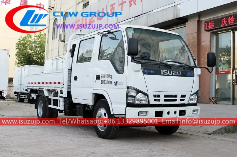 ISUZU NKR 5 Ton Cargo Truck view 3