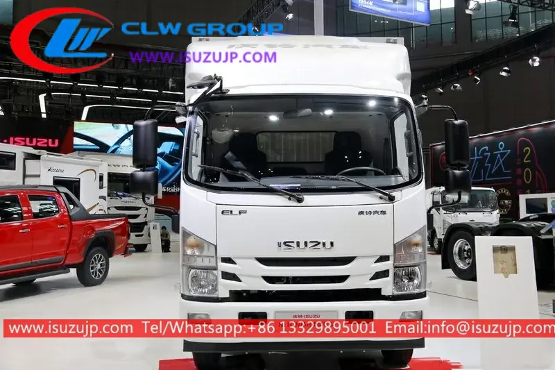ISUZU NLR 13ft Van Truck for Sale view 2