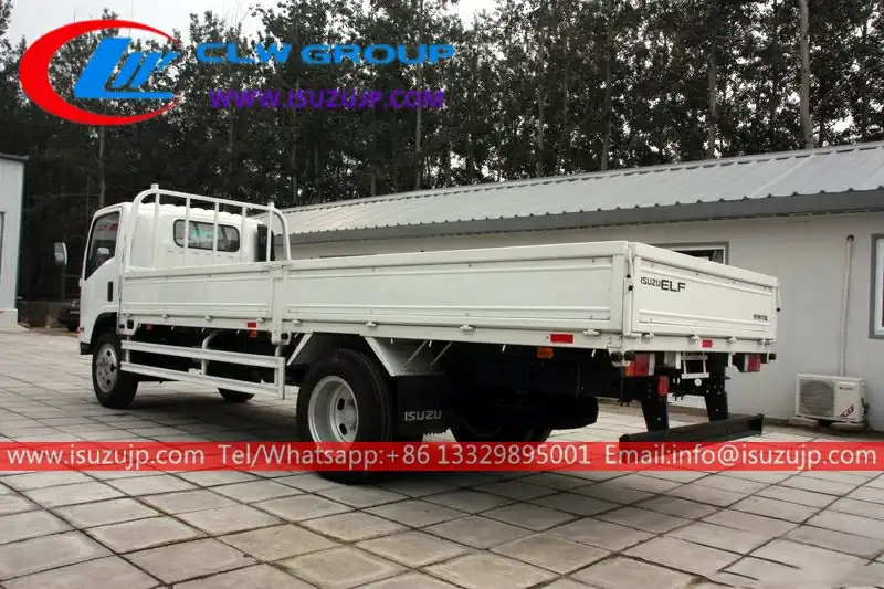ISUZU NPR 8 Ton Freight Truck for Sale view 3