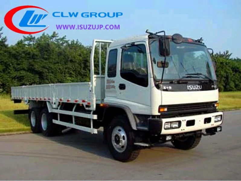Japanese 10 Wheeler ISUZU FVZ 20T Cargo Truck