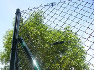 Chain link fence fixed to a green coated steel post