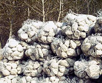 Stack of filled sack gabions ready for placing