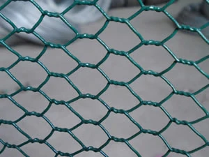 Green PVC coated hexagonal wire netting close up
