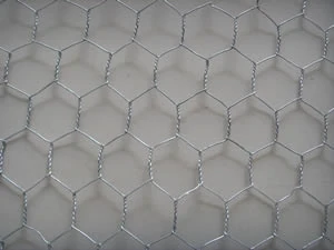 Galvanized hexagonal wire netting showing the twisted joints