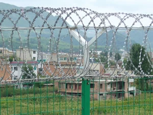 Razor barbed wire coil topping a perimeter fence