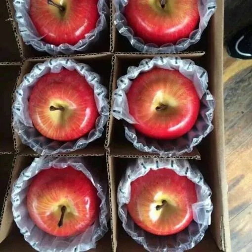 Air column bag for fruit