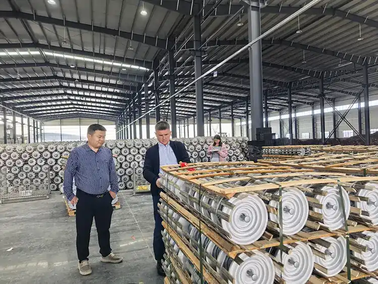 PRADEX visitors inspecting porcelain insulators at the Baolifeng plant