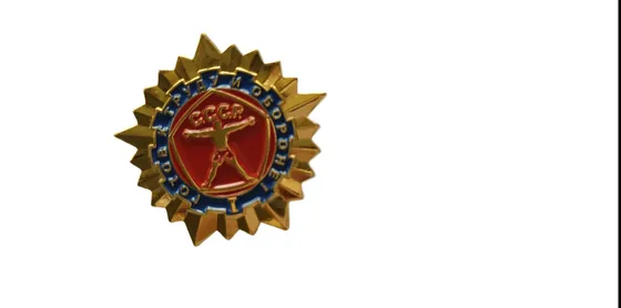 Gold Starburst Award Lapel Pin showing a gold starburst with an enamelled centre medallion