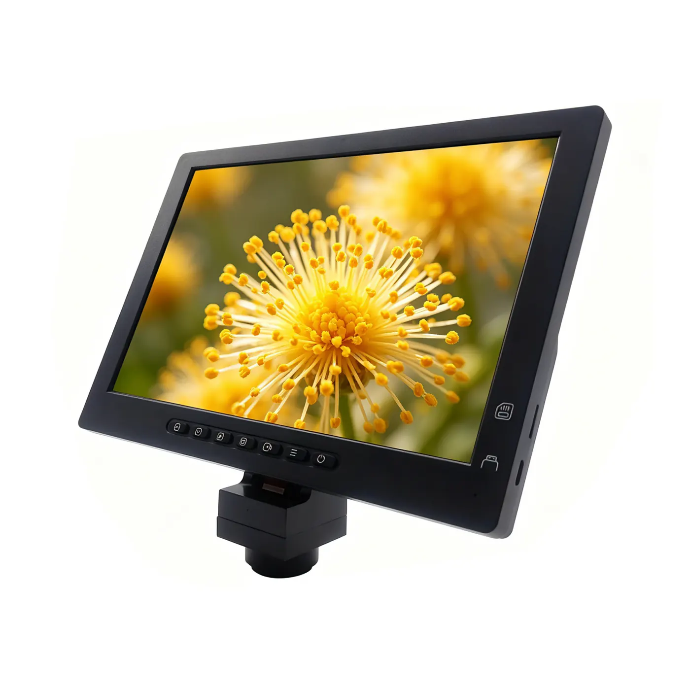 LCD Displays and Screens