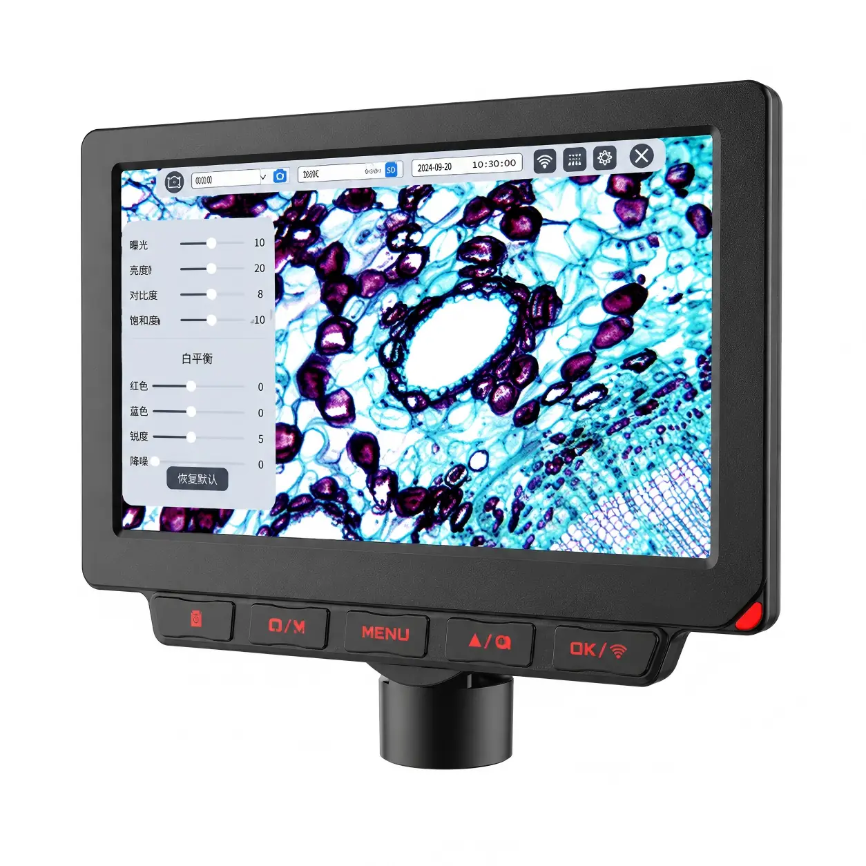 DT200 7” 9” 10.1” HD Smart Display Take Picture Record Video