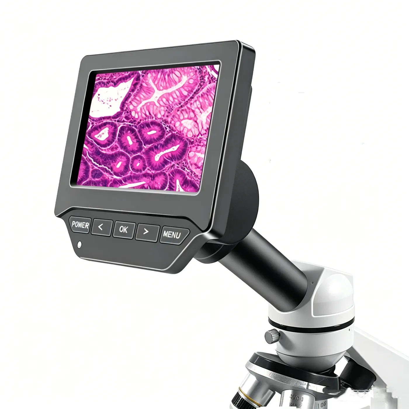 DT300 5” Microscope LCD Display Screen for Biology, Bacteriology view 2