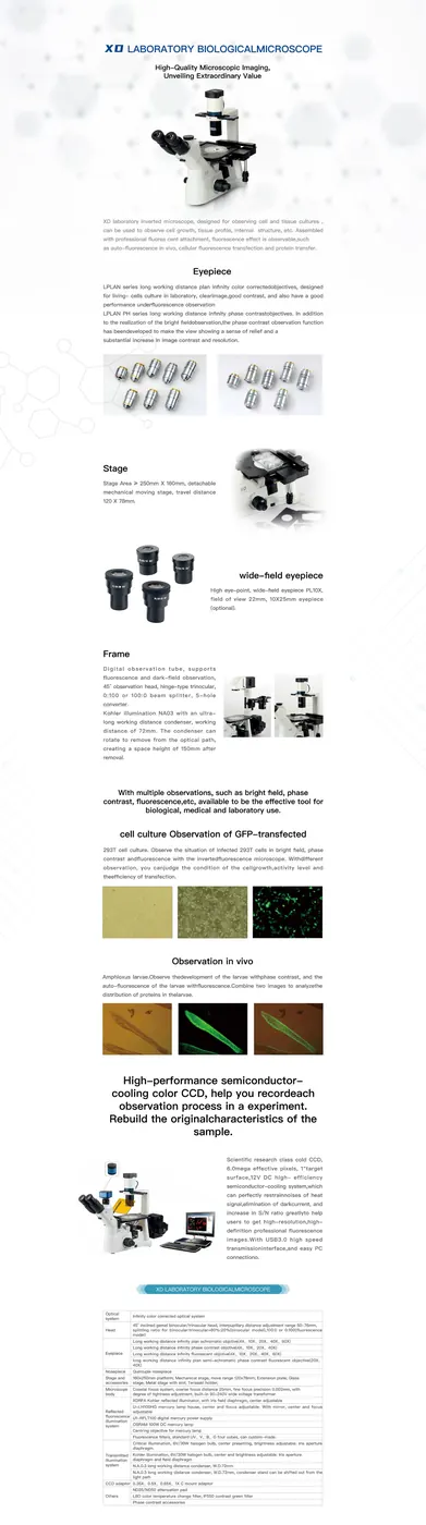 XD Series Inverted Biological Microscope for Research and Clinical view 2