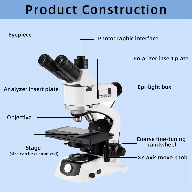 XGM100 Upright Metallurgical Microscope view 2
