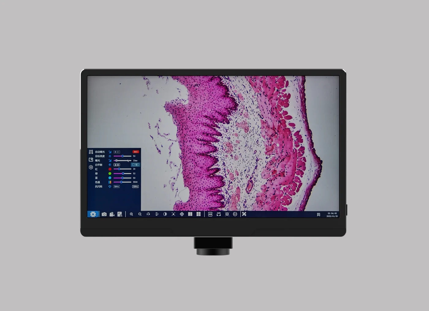 AM5613 11.6" WiFi Industrial Camera Screen for Microscope