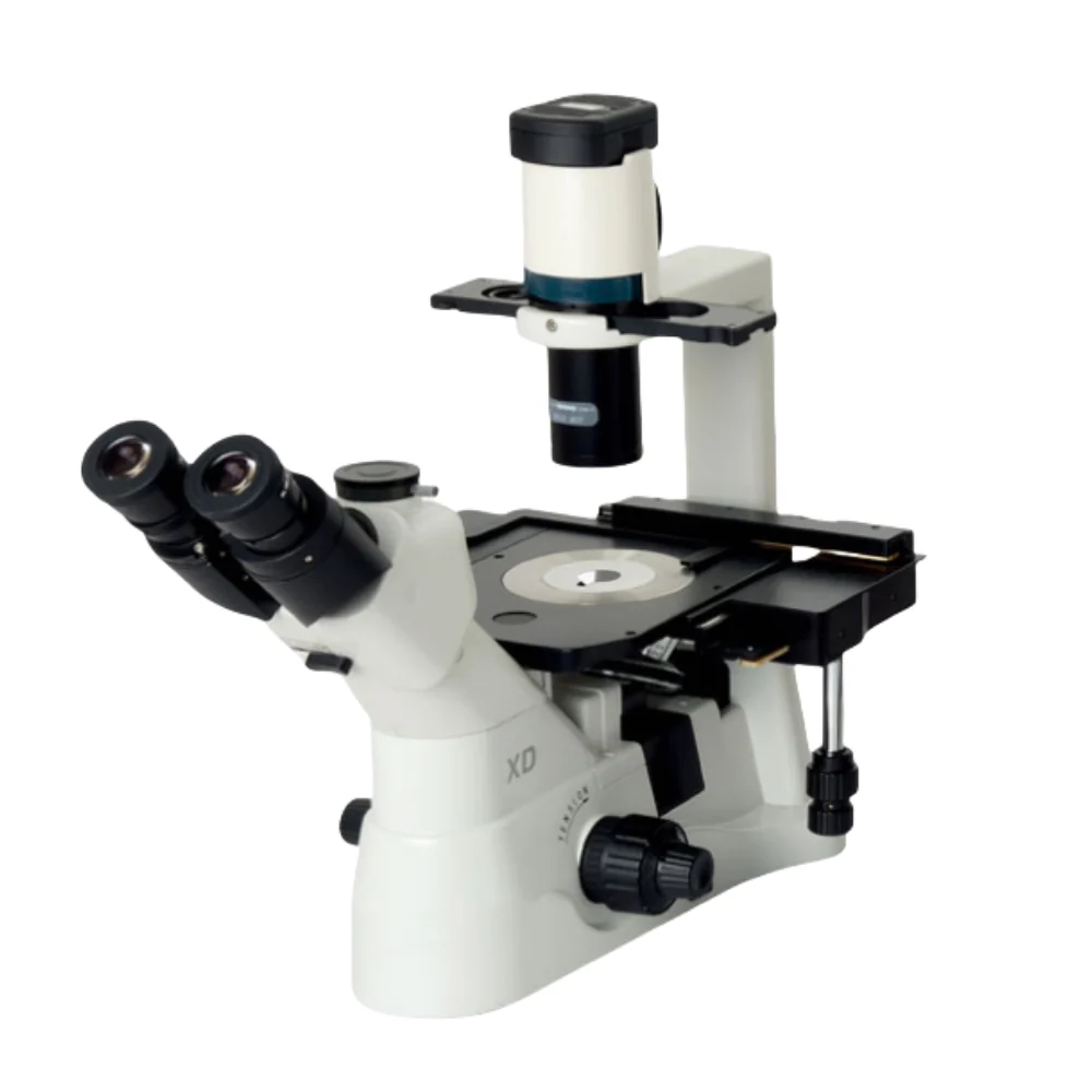 Biological Microscope