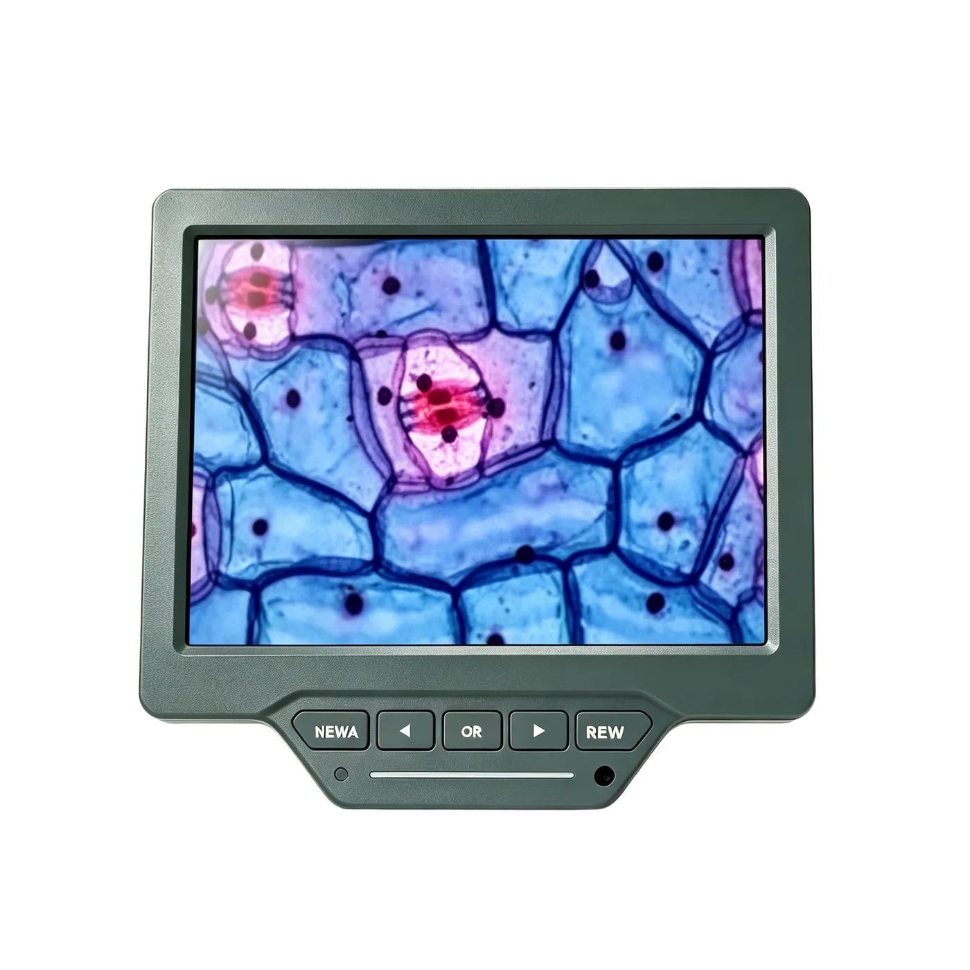 DT400 7" 10" 1080P Digital Microscope Screen for Lab Biological