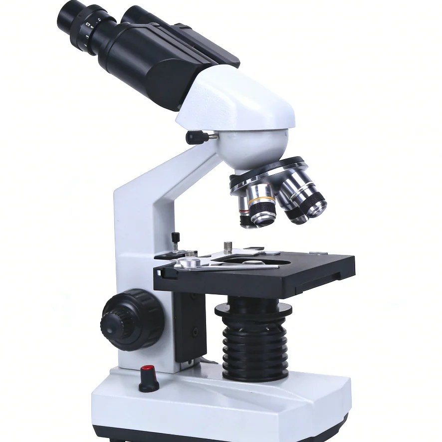 XDT300 Student Binocular Biological Microscope for School