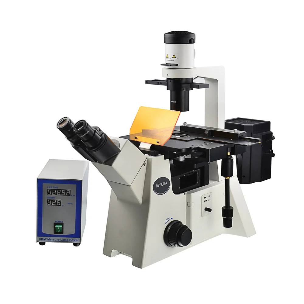 Inverted Fluorescence Microscope