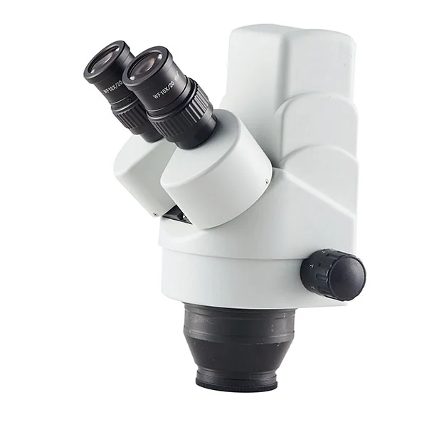 Stereo Microscope Head