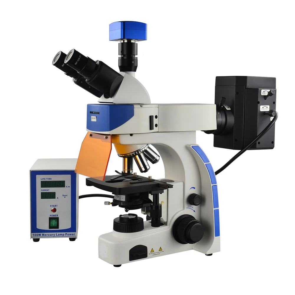Fluorescence Microscope