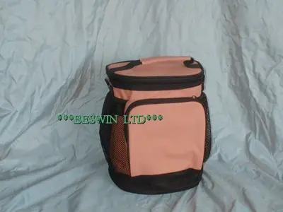Cooler bag