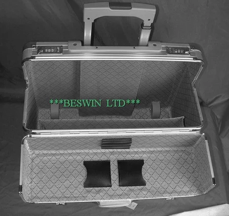 Pilot case view 2