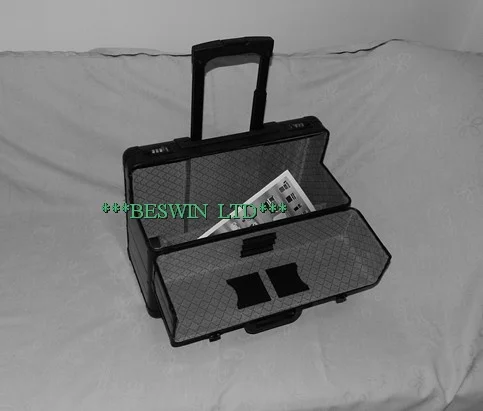 Pilot case view 2