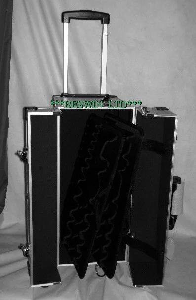 Pilot case view 2