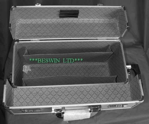 Pilot case view 2