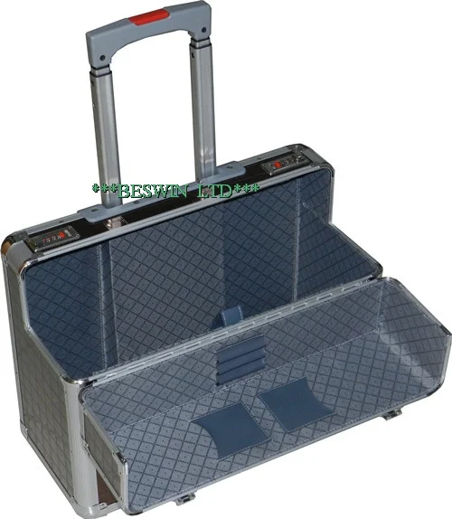 Pilot case view 2