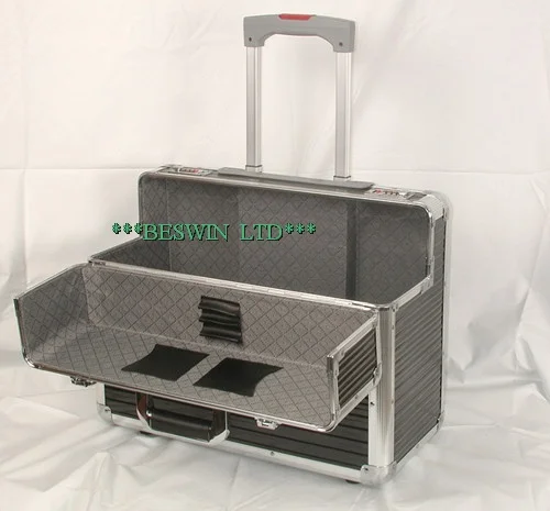 Pilot cases view 2