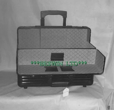 Pilot case view 2