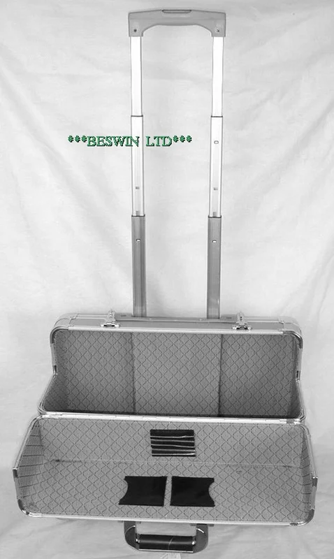 Pilot case view 2