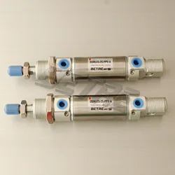 DSN Series Stainless Steel Mini Cylinder