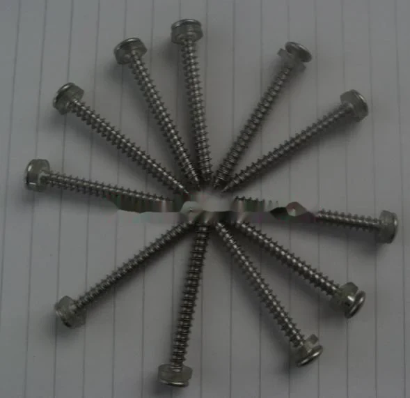 SS316 Tapping Screws manufactured by Beyond Fastener