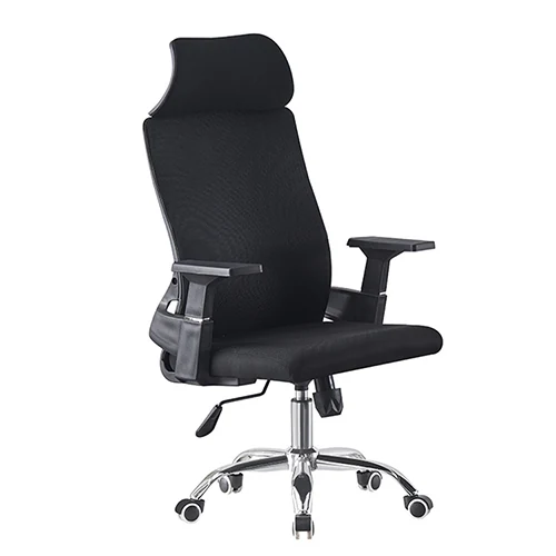 BW3075 ergonomic chair with pillow and flexible back frame