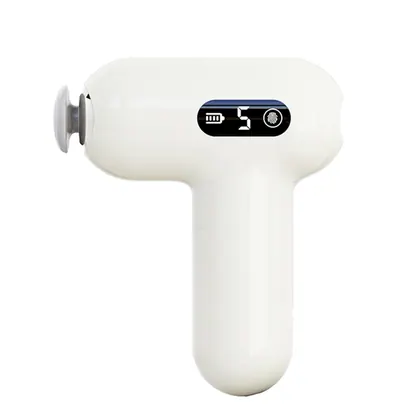 Professional 6 Speed Handle Percussion Deep Tissue Vibration Body Muscle Massage Gun manufactured by Bisd