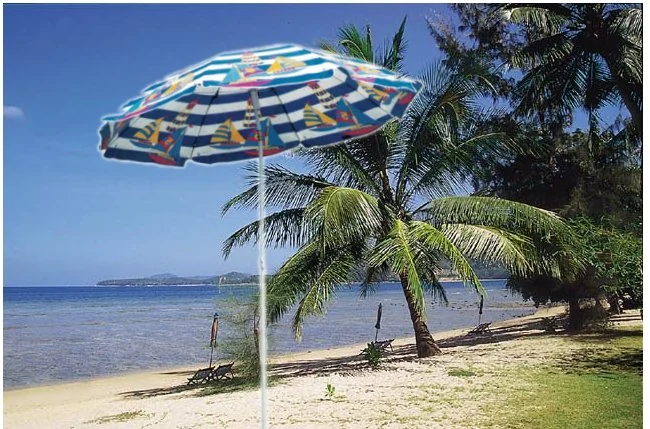 Beach Umbrella view