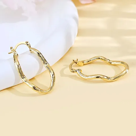 Plated Brass Express Fashion Earrings European and American Export Special Personalized Senior Trend - Plated Brass jewelry made by BlueOne Jewelry