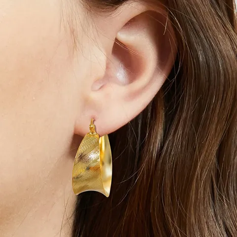 Brushed C-shaped Large Circle Earrings Premium Style Light Feeling Earrings Geometric - view 2
