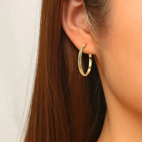 Plated Brass Earrings Niche Ins European and American Personalized Earrings Circle - view 2