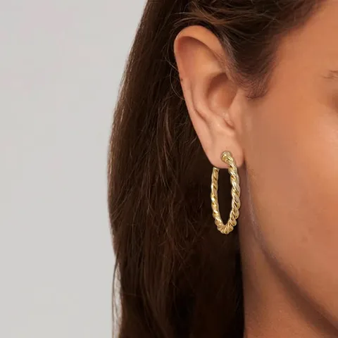 Europe and the United States Stainless Steel Earrings Gold-plated C-shaped Twist - view 2