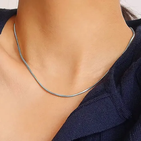 Stainless Steel Flat Snakebone Chain Necklace Ins Minimalist Jewelry Sweater Chain Niche Titanium - view 2
