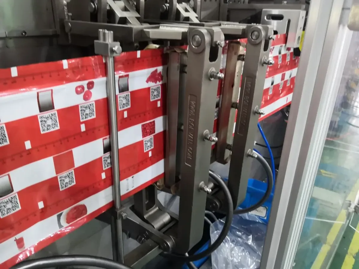 Boevan HFFS Machine | High-efficiency Auto Packing Solution for Zipper Pouch