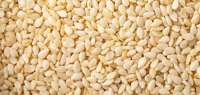 Granule Packing Solution by Boevan